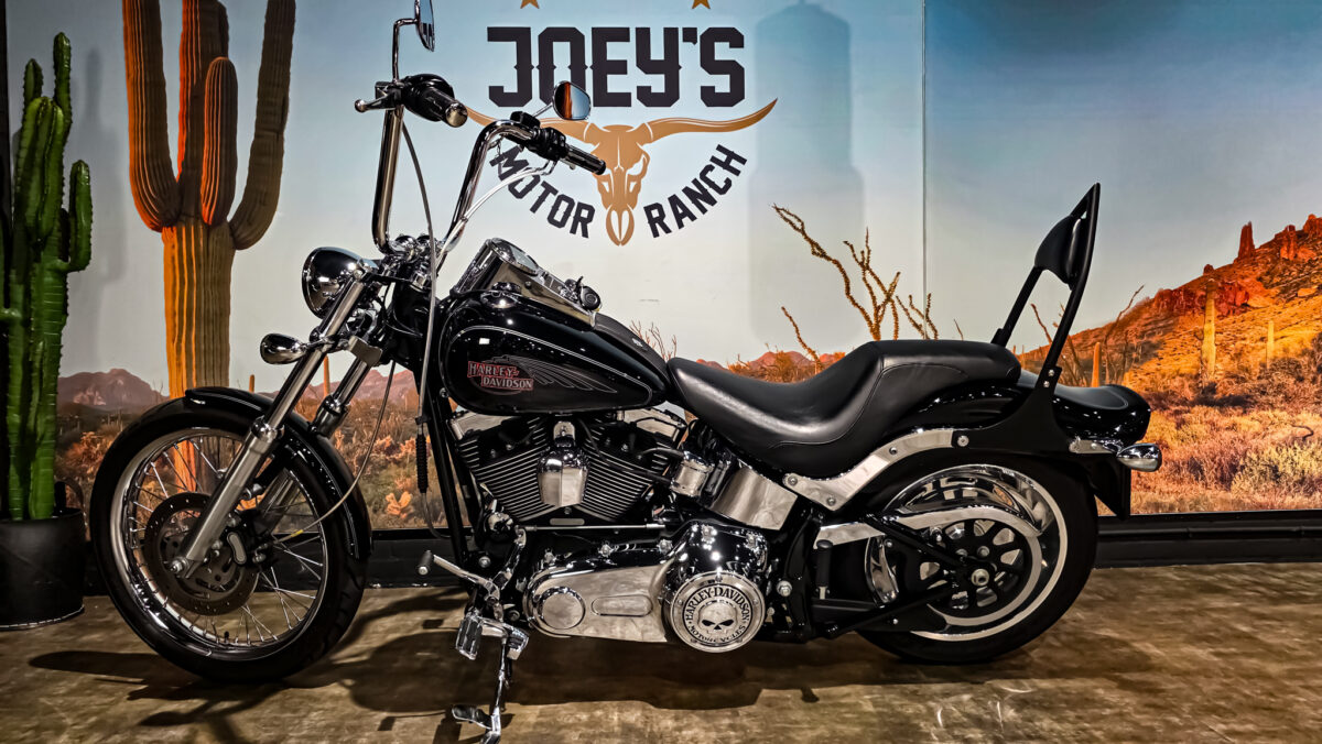 Harley-Davidson - FXSTC - Softail Custom - 2010