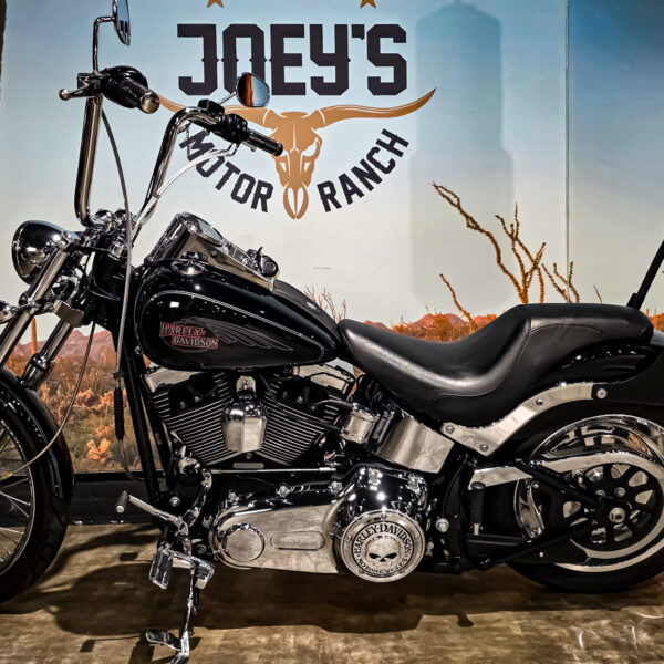Harley-Davidson - FXSTC - Softail Custom - 2010