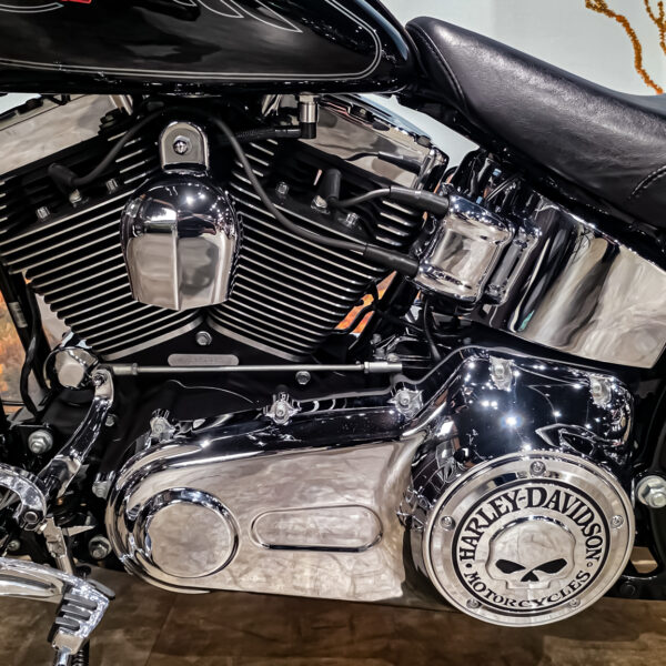 Harley-Davidson - FXSTC - Softail Custom - 2010