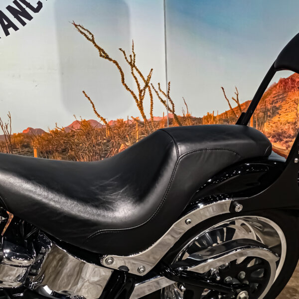 Harley-Davidson - FXSTC - Softail Custom - 2010