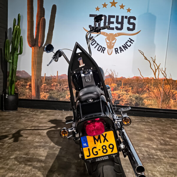 Harley-Davidson - FXSTC - Softail Custom - 2010