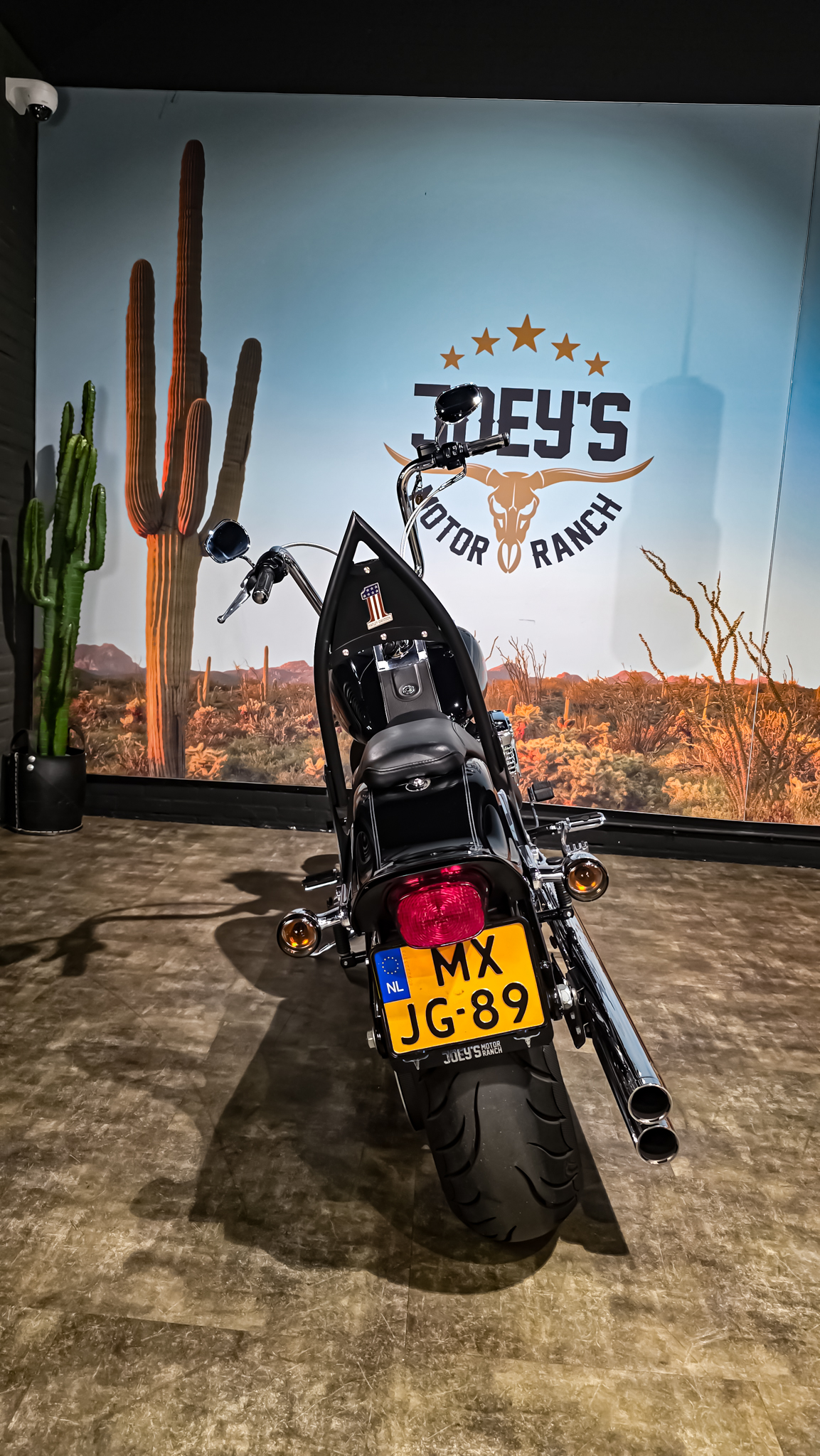 Harley-Davidson - FXSTC - Softail Custom - 2010