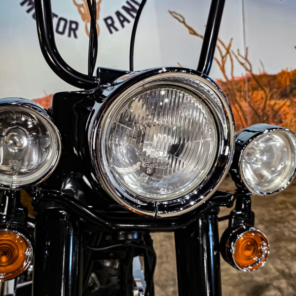 Harley-Davidson - Softail - Heritage classic - FLSTC - EVO - Custom paint - 1995 (5)