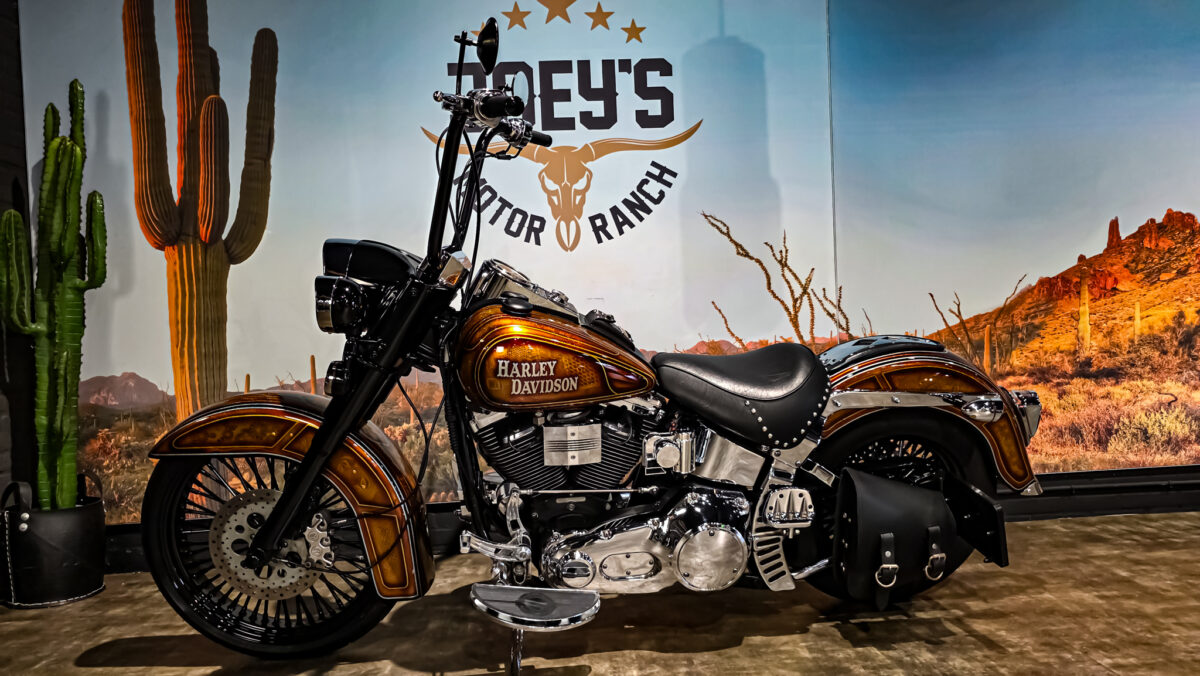 Harley-Davidson - Softail - Heritage classic - FLSTC - EVO - Custom paint - 1995 (5)