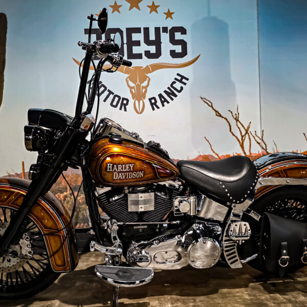 Harley-Davidson - Softail - Heritage classic - FLSTC - EVO - Custom paint - 1995 (5)