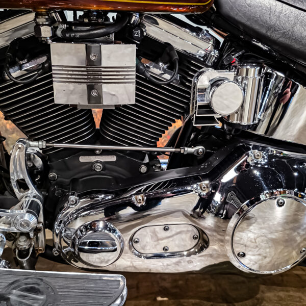 Harley-Davidson - Softail - Heritage classic - FLSTC - EVO - Custom paint - 1995 (5)