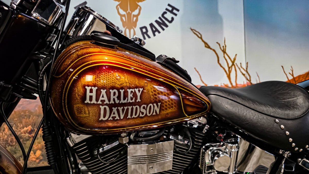 Harley-Davidson - Softail - Heritage classic - FLSTC - EVO - Custom paint - 1995 (5)