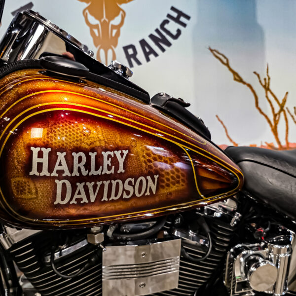 Harley-Davidson - Softail - Heritage classic - FLSTC - EVO - Custom paint - 1995 (5)