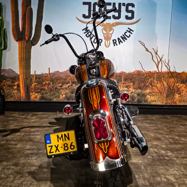 Harley-Davidson - Softail - Heritage classic - FLSTC - EVO - Custom paint - 1995 (5)