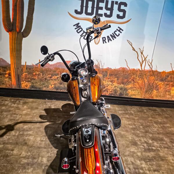 Harley-Davidson - Softail - Heritage classic - FLSTC - EVO - Custom paint - 1995 (5)