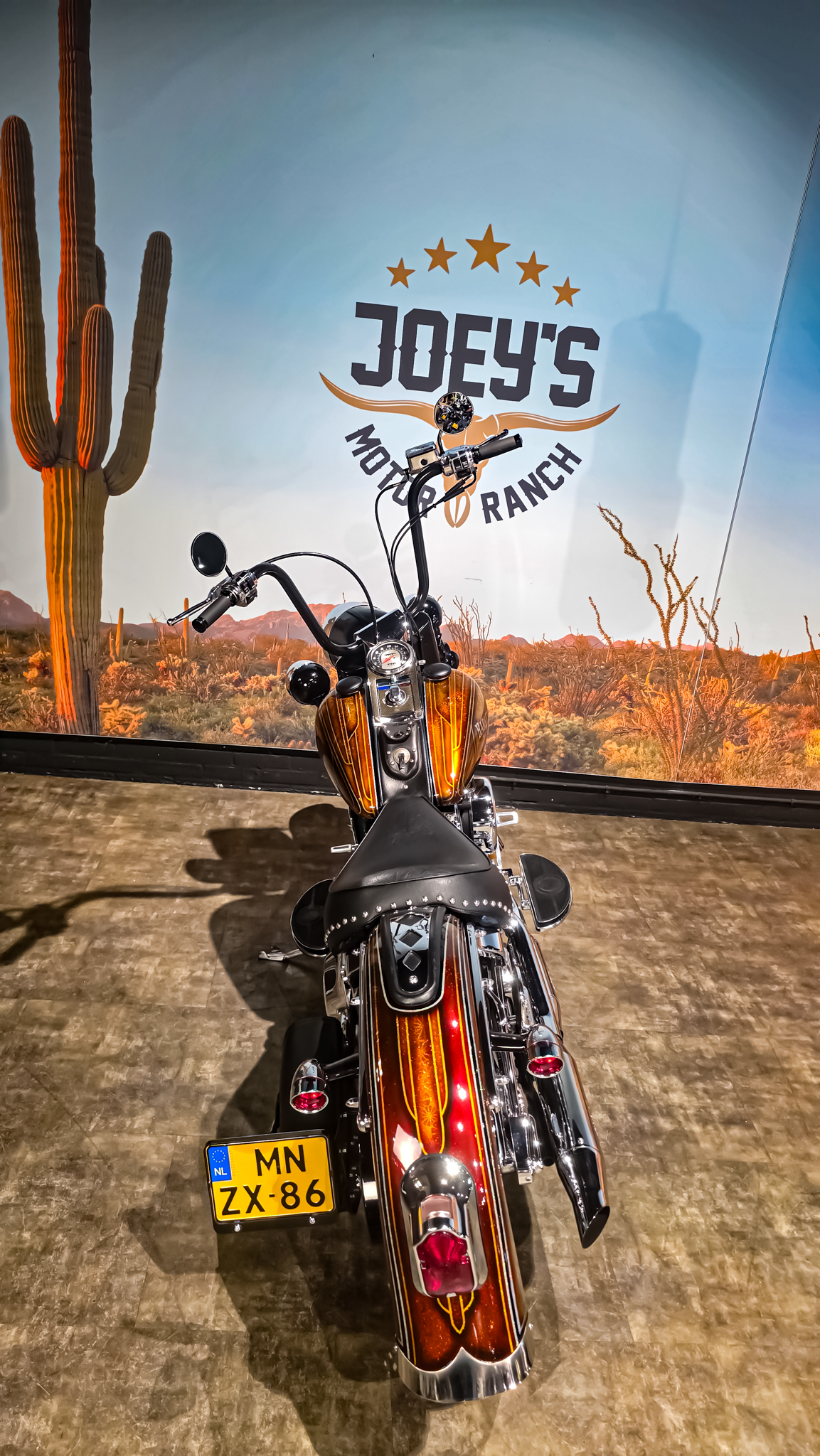 Harley-Davidson - Softail - Heritage classic - FLSTC - EVO - Custom paint - 1995 (5)