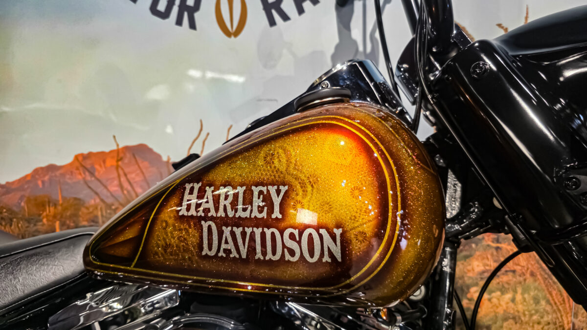 Harley-Davidson - Softail - Heritage classic - FLSTC - EVO - Custom paint - 1995 (5)