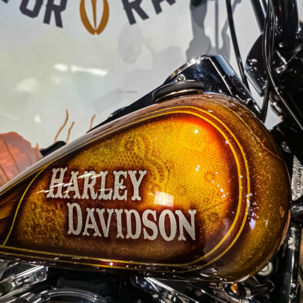 Harley-Davidson - Softail - Heritage classic - FLSTC - EVO - Custom paint - 1995 (5)