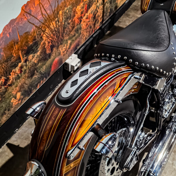 Harley-Davidson - Softail - Heritage classic - FLSTC - EVO - Custom paint - 1995 (5)