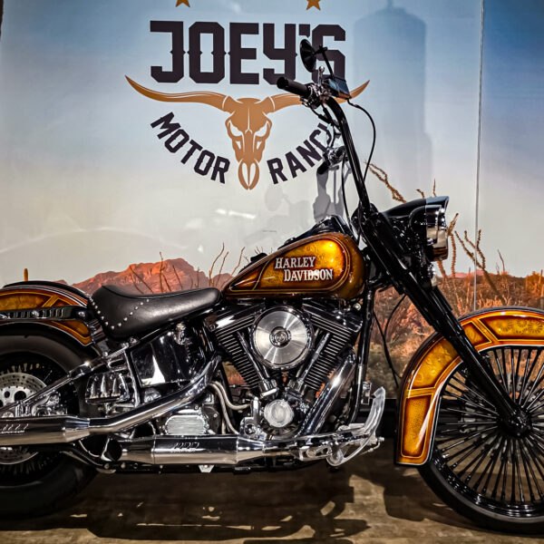Harley-Davidson - Softail - Heritage classic - FLSTC - EVO - Custom paint - 1995 (5)