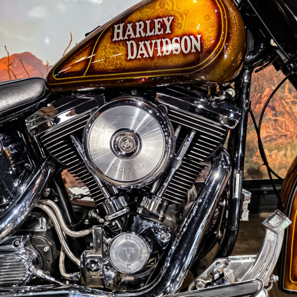 Harley-Davidson - Softail - Heritage classic - FLSTC - EVO - Custom paint - 1995 (5)